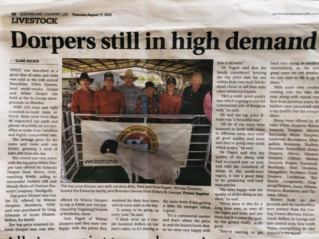 WINRAE DORPERS TOPS ST GEORGE SALE 2022